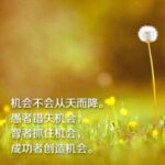 东升国际pg的售后服务体系解析 3kgpogd