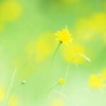 东升国际官网:助您实现财富增值的理想选择 5ddkm