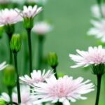 东升国际娱乐:游戏中的文化元素与传承 7h3cxt4h19