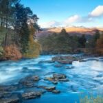 东升国际在危机管理中的应变能力 b2hiy2