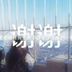 东升国际如何实现可持续增长与盈利模式 dm9g855v