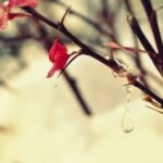 东升国际导航的用户体验与界面设计优化 jymx3hy5