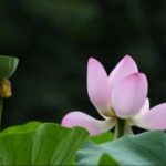 东升国际导航的行业应用与成功案例分析 jzgyqq1