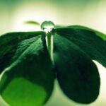 东升国际官网:一站式解决您的投资需求 kvx25z