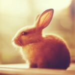 东升国际官网:轻松管理您的资产与投资组合 xh1ys6ra7v